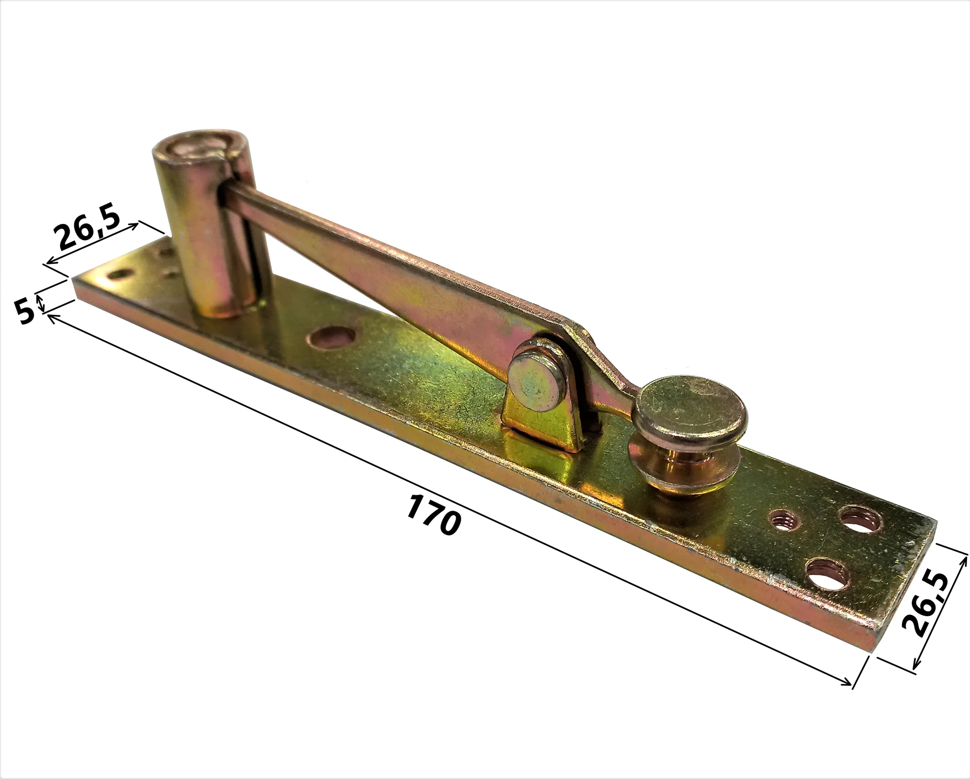 MD 133 L - Top & Bottom Pivot Set with Closer for Wood Doors